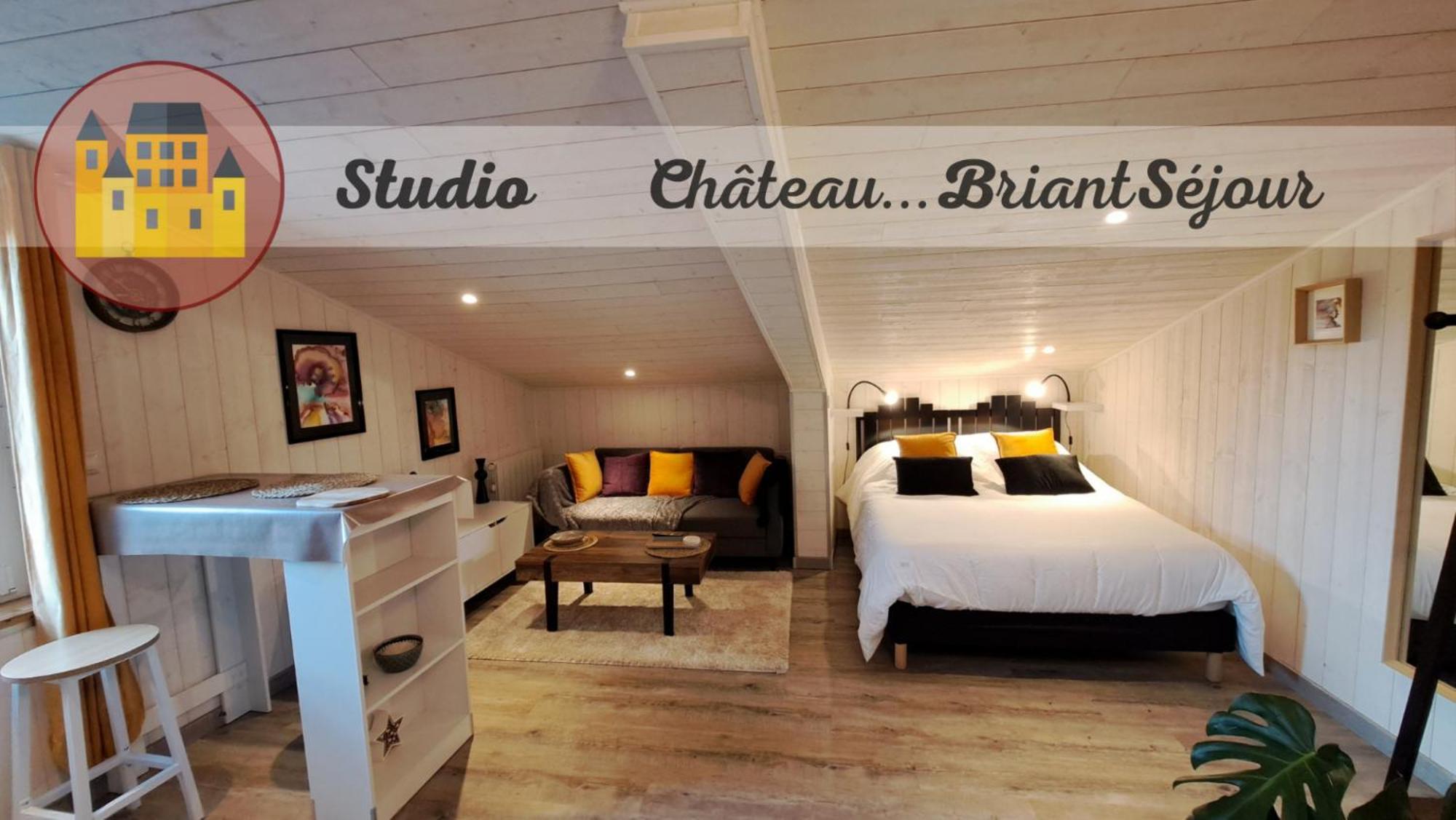 Studio-Centre Ville Châteaubriant Exterior foto